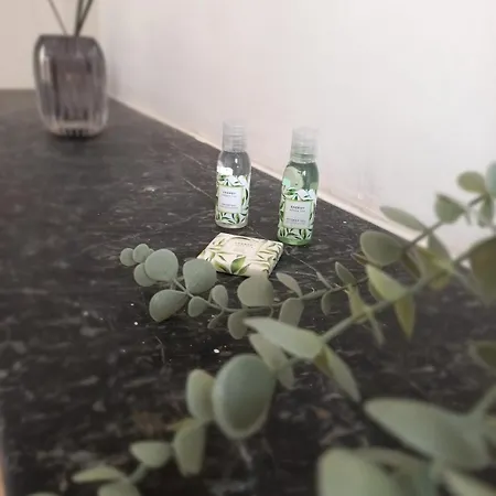 Le 29 , 4pers, 2 Lits, Climatisation Et Wif *