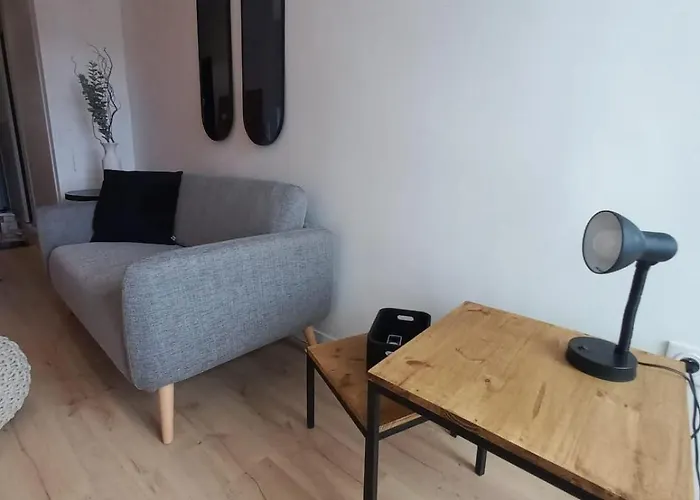 Le 29 , 4pers, 2 Lits, Climatisation Et Wif Apartment Agen