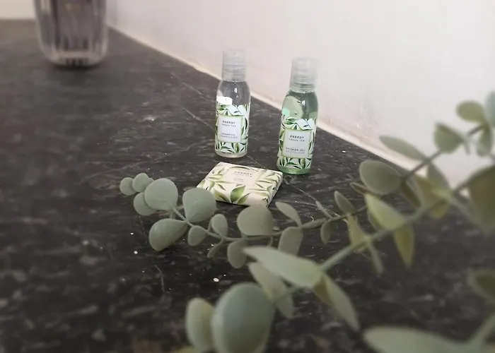 Le 29 , 4pers, 2 Lits, Climatisation Et Wif *